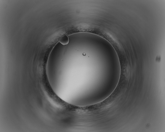 X0000093150690200709261446