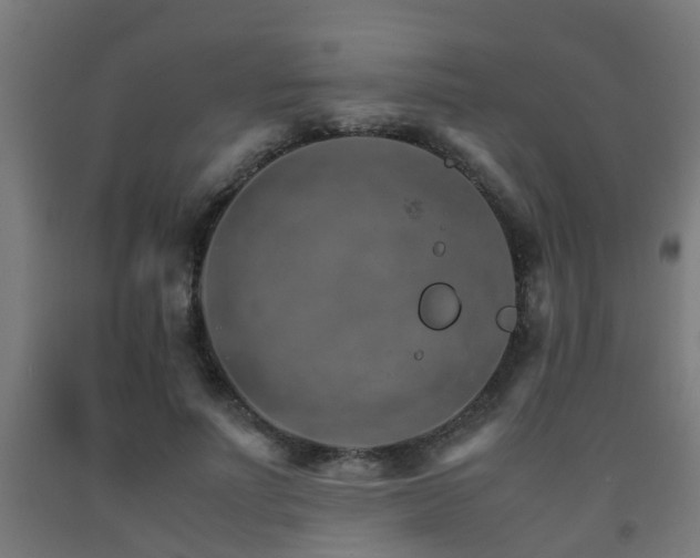 X0000093150691200709261446