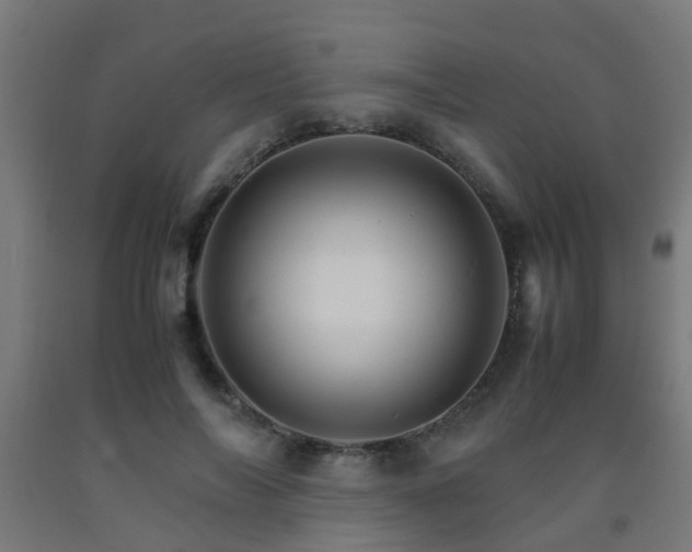 X0000093150694200709261446