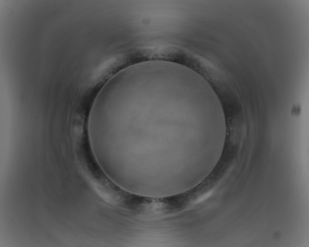 X0000093150695200709261446