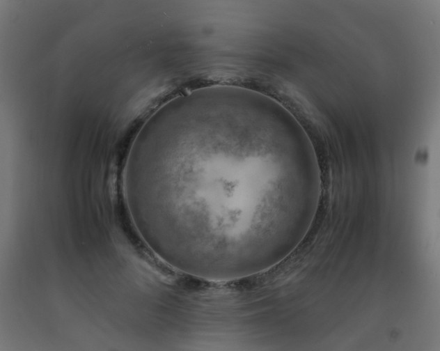 X0000093150696200709261446