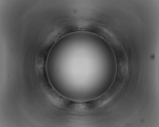 X0000093150698200709261446