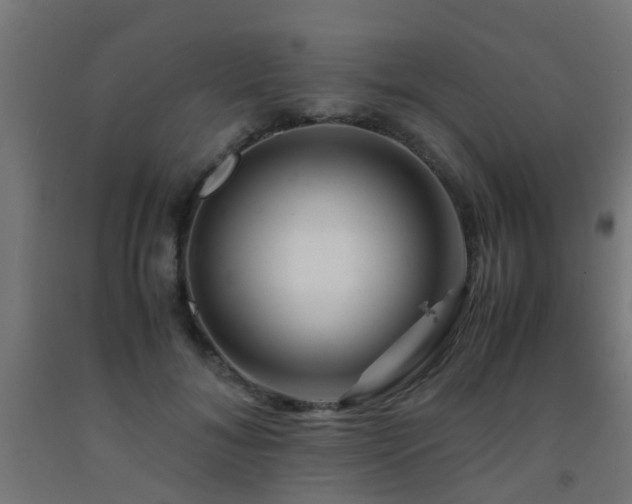 X0000093150700200709261446