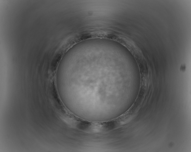 X0000093150701200709261446