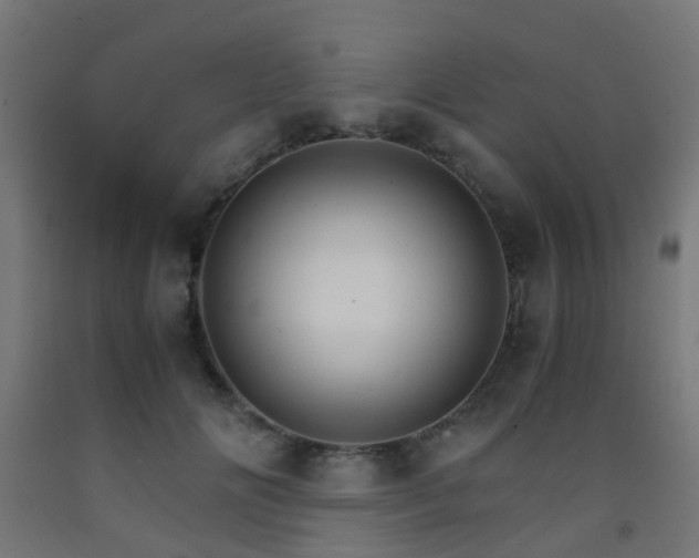 X0000093150702200709261446