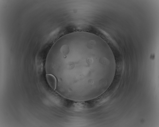 X0000093150703200709261446