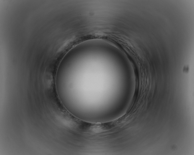 X0000093150704200709261446