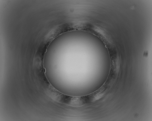 X0000093150705200709261446
