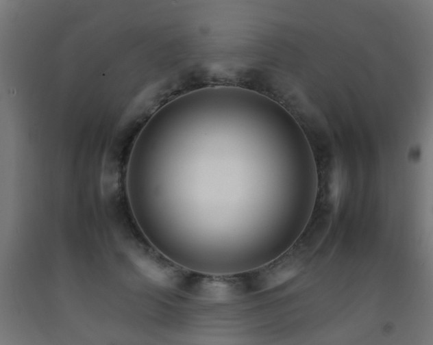 X0000093150706200709261446