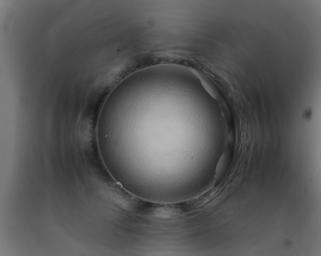 X0000093150708200709261446