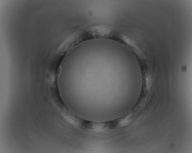 X0000093150709200709261446