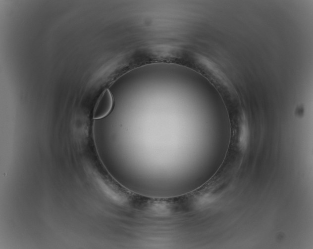 X0000093150710200709261446