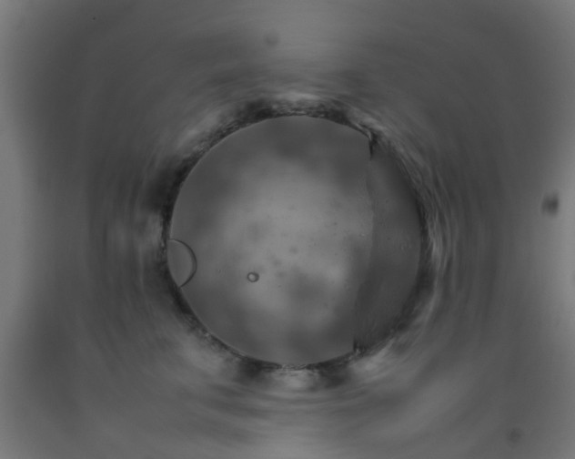 X0000093150711200709261445