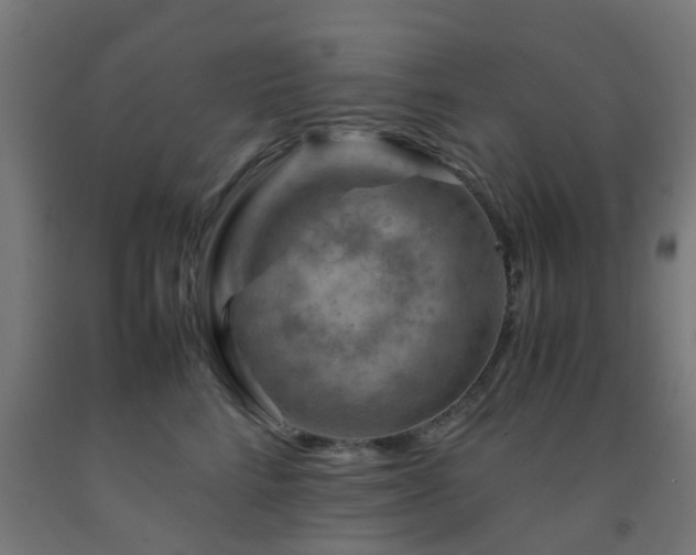 X0000093150712200709261445
