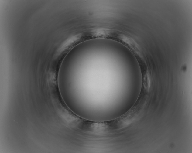 X0000093150714200709261445