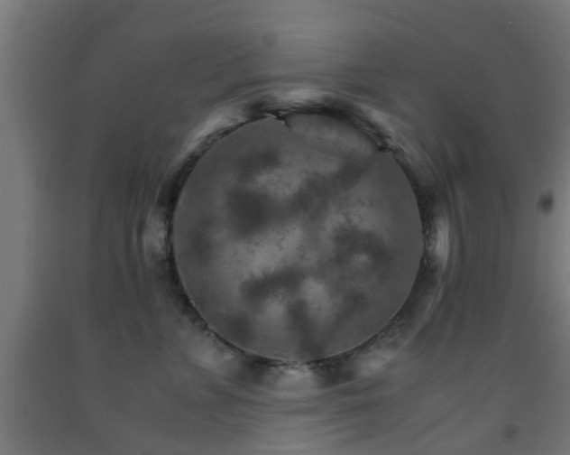 X0000093150715200709261445