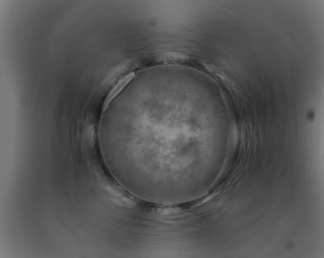 X0000093150716200709261445