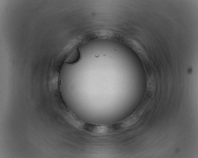 X0000093150717200709261445