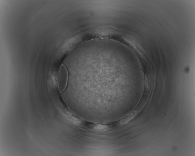 X0000093150718200709261445