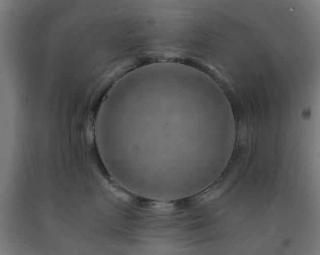 X0000093150719200709261445