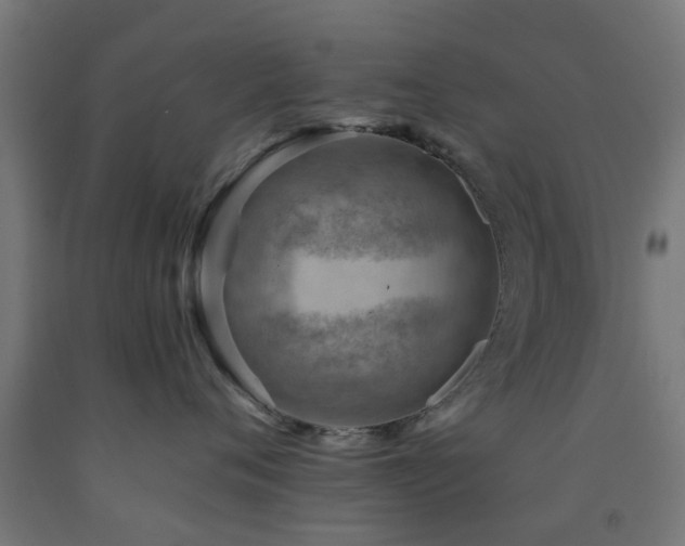 X0000093150720200709261445