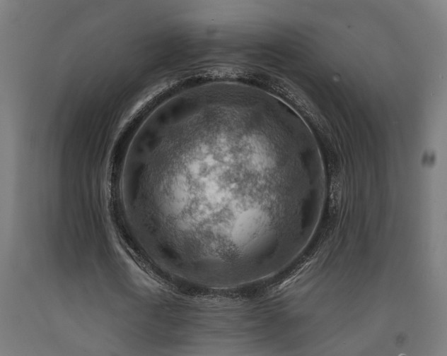 X0000093150722200709261445