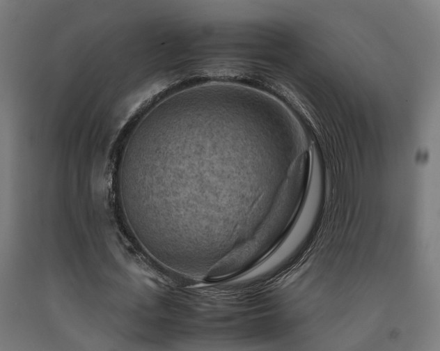 X0000093150723200709261445