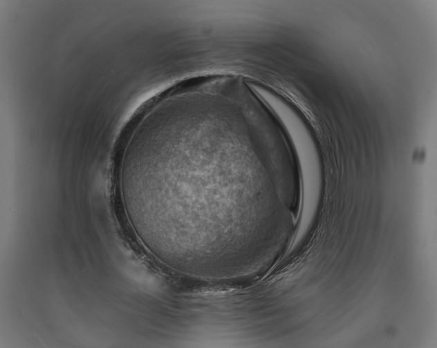 X0000093150724200709261445