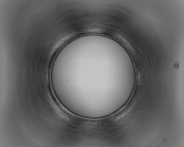 X0000093150725200709261445