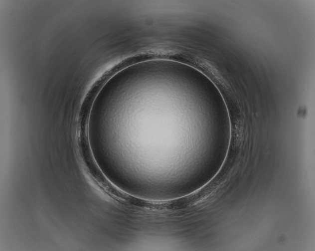 X0000093150726200709261445