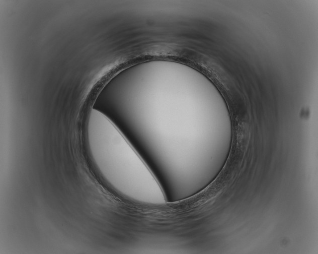 X0000093150727200709261445