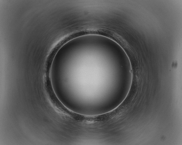 X0000093150728200709261445