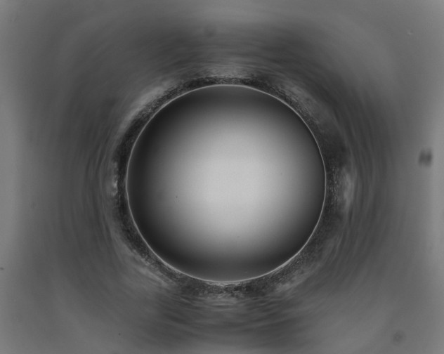 X0000093150731200709261445