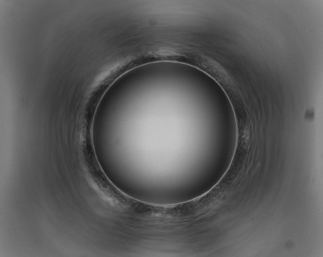 X0000093150732200709261445