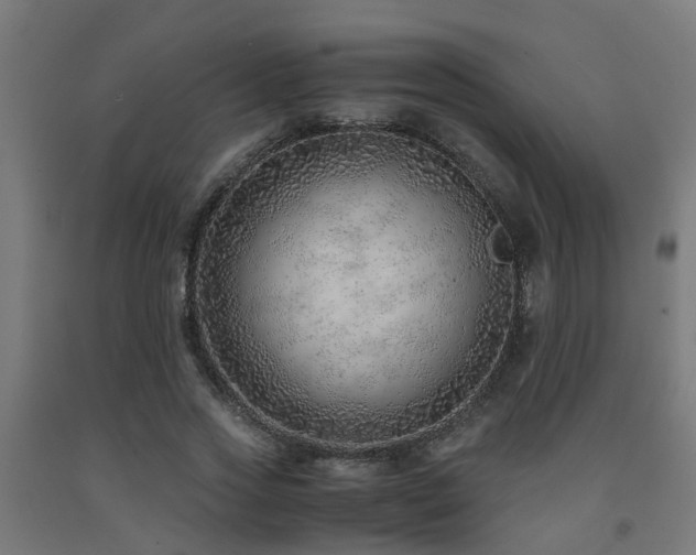 X0000093150733200709261445
