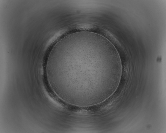 X0000093150734200709261445