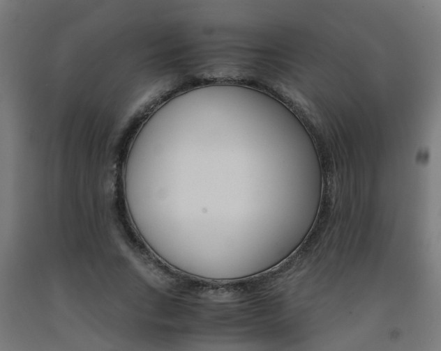 X0000093150735200709261445