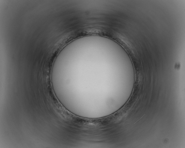 X0000093150737200709261445