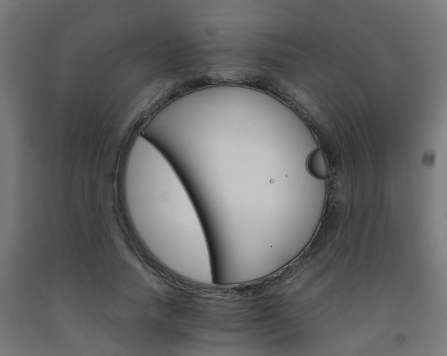 X0000093150738200709261445