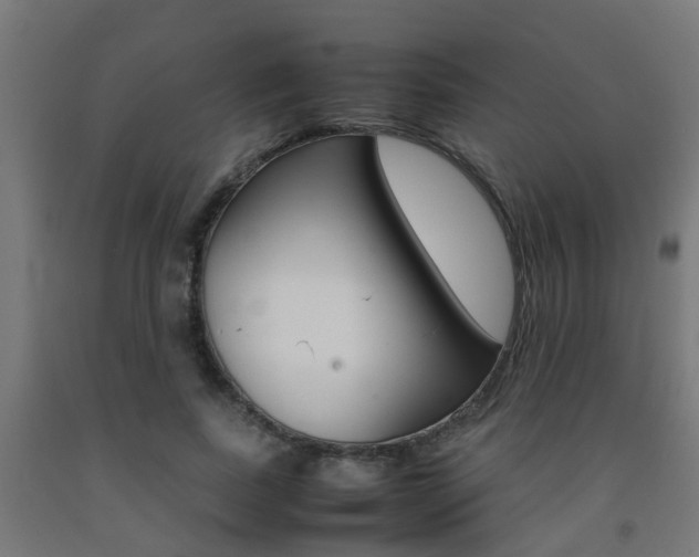 X0000093150739200709261445