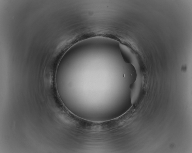 X0000093150740200709261445