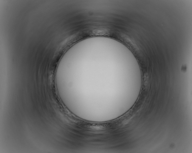 X0000093150741200709261445