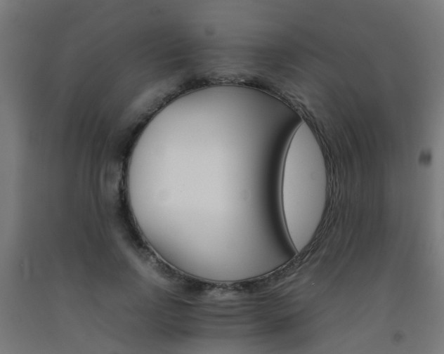 X0000093150742200709261445