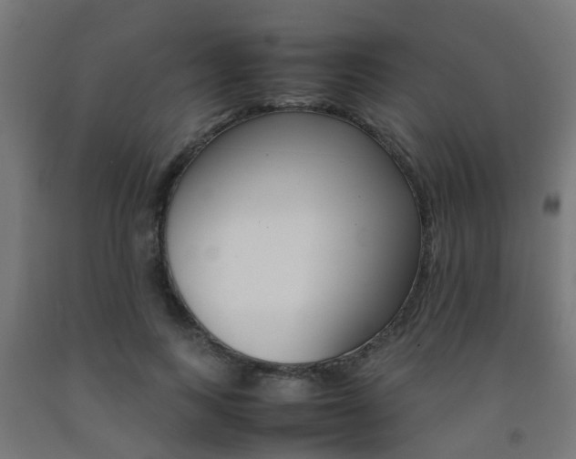 X0000093150743200709261445