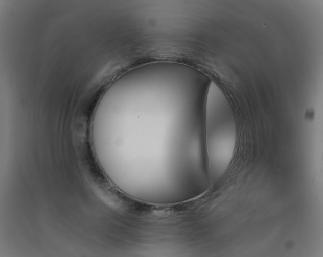 X0000093150744200709261445