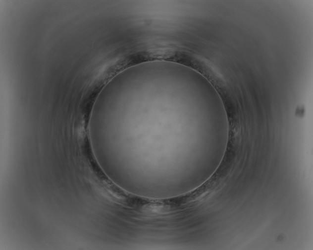 X0000093150745200709261445