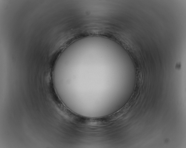 X0000093150746200709261445