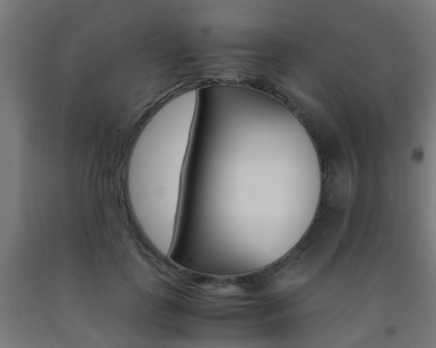 X0000093150747200709261445