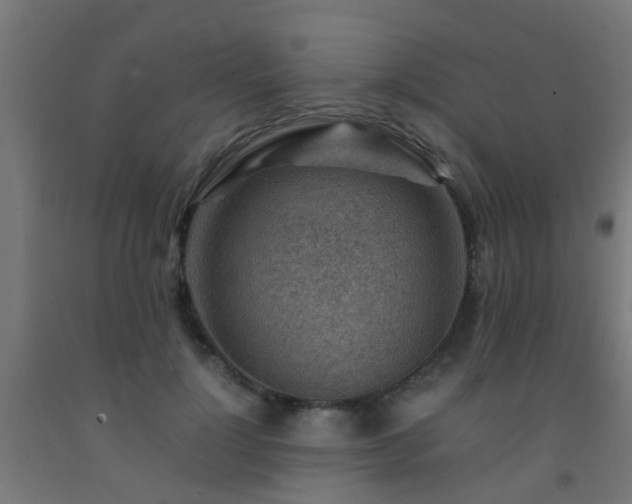 X0000093150748200709261445