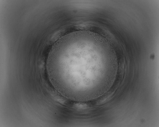 X0000093150749200709261445